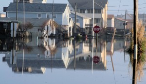 flooding expert witness - houses under water