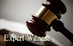 engineering expert witness